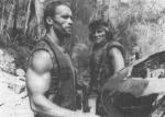  Arnold Schwarzenegger 1207  photo célébrité