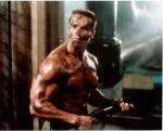  Arnold Schwarzenegger 1196  photo célébrité