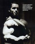  Arnold Schwarzenegger 1163  celebrite provenant de Arnold Schwarzenegger