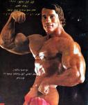  Arnold Schwarzenegger 1161  celebrite de                   Daphnée82 provenant de Arnold Schwarzenegger