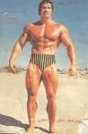  Arnold Schwarzenegger 1159  photo célébrité
