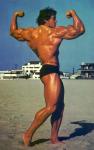  Arnold Schwarzenegger 1149  photo célébrité