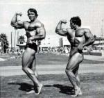  Arnold Schwarzenegger 1141  photo célébrité