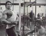  Arnold Schwarzenegger 1139  photo célébrité