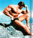  Arnold Schwarzenegger 1136  photo célébrité
