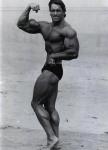  Arnold Schwarzenegger 1135  photo célébrité