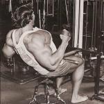  Arnold Schwarzenegger 113  photo célébrité