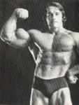  Arnold Schwarzenegger 1120  photo célébrité