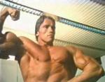  Arnold Schwarzenegger 1118  photo célébrité