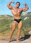  Arnold Schwarzenegger 1114  photo célébrité