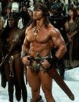  Arnold Schwarzenegger 1105  photo célébrité