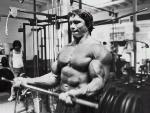  Arnold Schwarzenegger 1082  photo célébrité