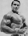  Arnold Schwarzenegger 1079  celebrite de                   Adelice62 provenant de Arnold Schwarzenegger