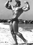  Arnold Schwarzenegger 1077  photo célébrité