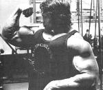  Arnold Schwarzenegger 1074  photo célébrité