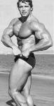  Arnold Schwarzenegger 1073  celebrite de                   Adelinda54 provenant de Arnold Schwarzenegger