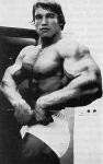  Arnold Schwarzenegger 1065  celebrite de                   Adena67 provenant de Arnold Schwarzenegger