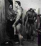  Arnold Schwarzenegger 1058  photo célébrité