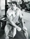  Arnold Schwarzenegger 1050  photo célébrité