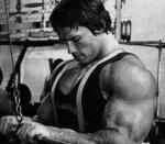  Arnold Schwarzenegger 105  photo célébrité