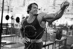  Arnold Schwarzenegger 1035  photo célébrité