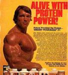  Arnold Schwarzenegger 1022  photo célébrité