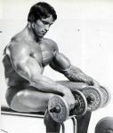  Arnold Schwarzenegger 10  photo célébrité