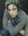  d38_jpg  celebrite provenant de Benicio Del Toro