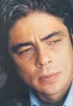  Benicio Del Toro 4  photo célébrité