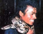  Michael Jackson 92  celebrite de                   Daria5 provenant de Michael Jackson