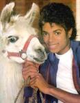  Michael Jackson 218  celebrite provenant de Michael Jackson