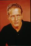  Paul Newman 43  celebrite provenant de Paul Newman