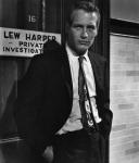  Paul Newman 35  photo célébrité