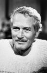  Paul Newman 25  photo célébrité