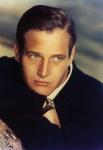  Paul Newman 21  photo célébrité