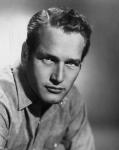  Paul Newman 14  celebrite provenant de Paul Newman