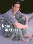  Paul Walker 34  photo célébrité